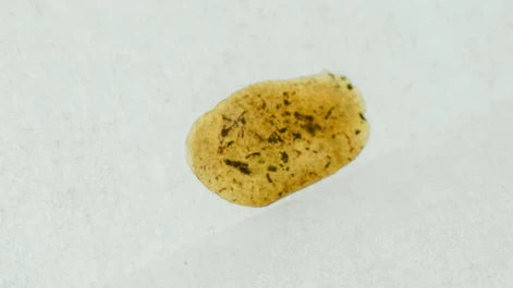 How to Make Your Own Solventless Dabs