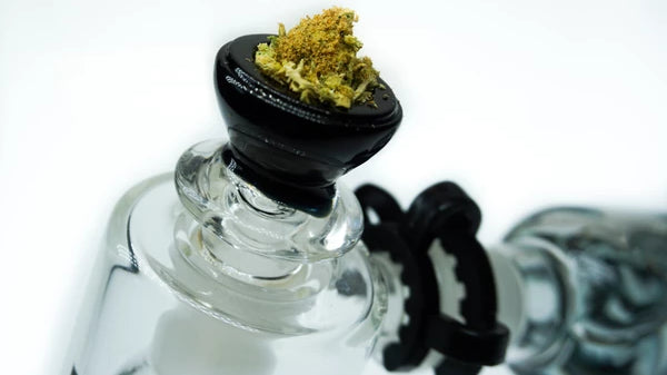 The 3 Bowls You Need To Flex On Instagram